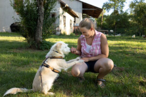 Erste Hilfe am Hund für Hundemenschen @ Zeller Dorfhaus
