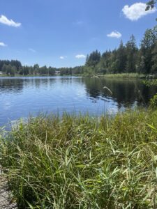 Urlaub @ Zeller Dorfhaus